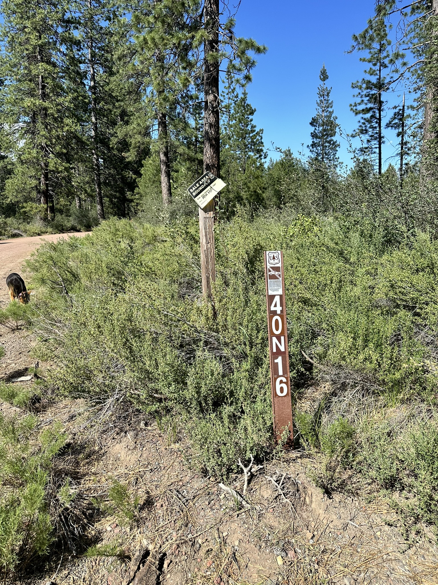 Star Party Location Image
